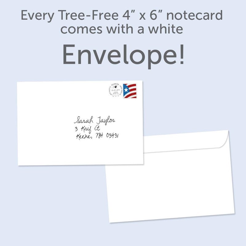 Tree-Free Greetings Yoda Best Thank You Cards - 12 Recycled 4x6 Cards & White Envelopes, Thick Cardstock, Sustainably Made in USA - Sci-Fi Cartoon Thanks - Image 3